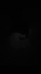 Low-light silhouette