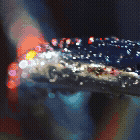 Macro detail — the solitude of aftermath